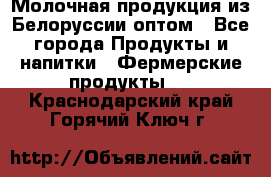 Молочная продукция из Белоруссии оптом - Все города Продукты и напитки » Фермерские продукты   . Краснодарский край,Горячий Ключ г.